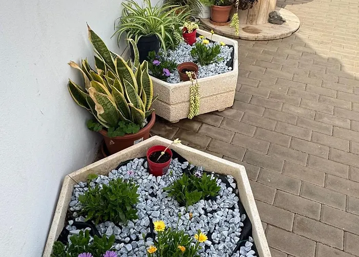 Exclusive House Arrecife (Lanzarote)