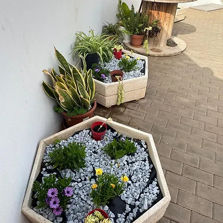 Exclusive House アレシフェ